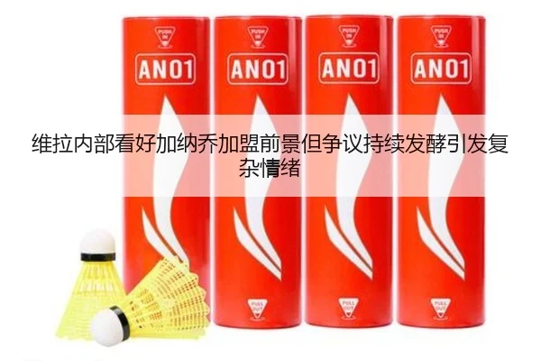 维拉内部看好加纳乔加盟前景但争议持续发酵引发复杂情绪